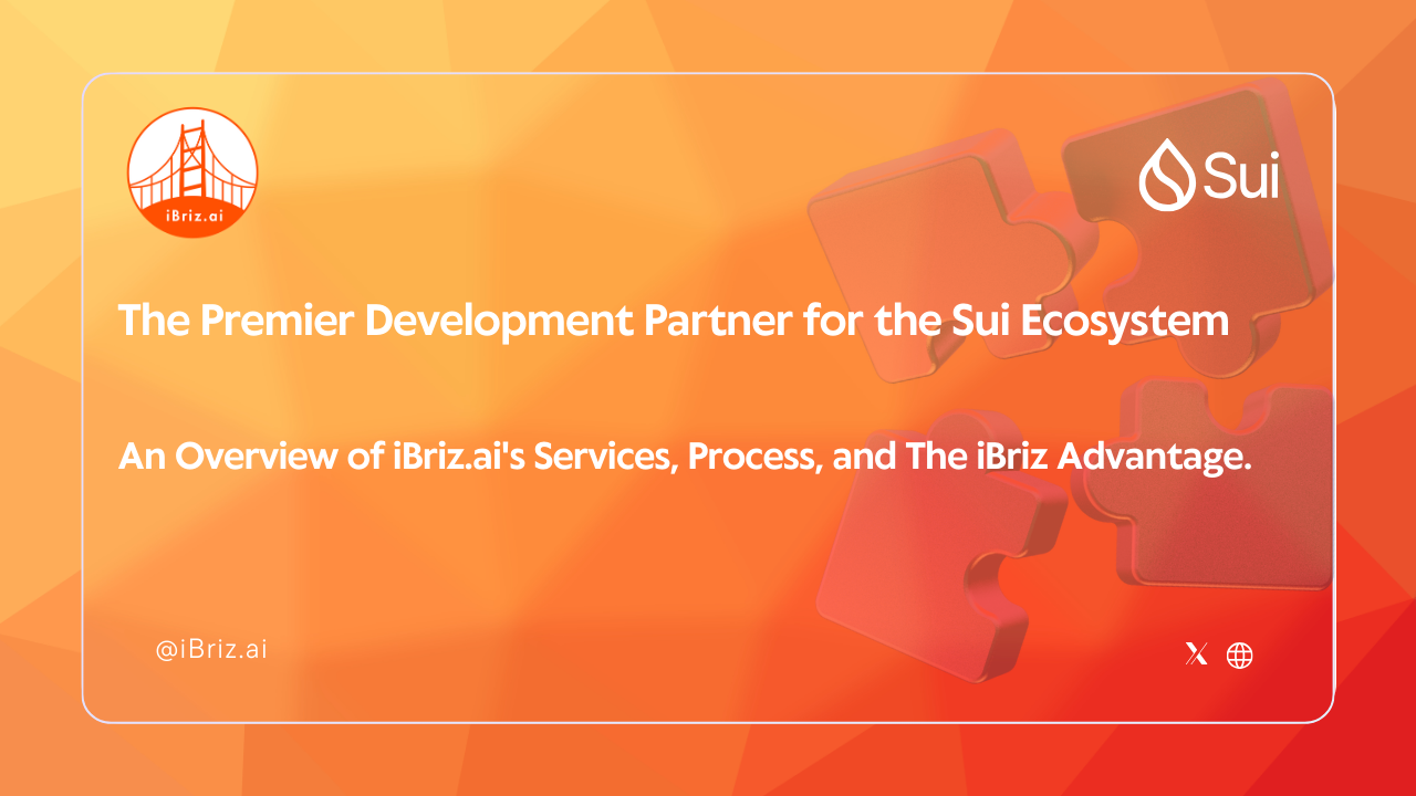 The Premier Development Partner for the Sui Ecosystem: An Overview of iBriz’s Services, Process, and the Advantage